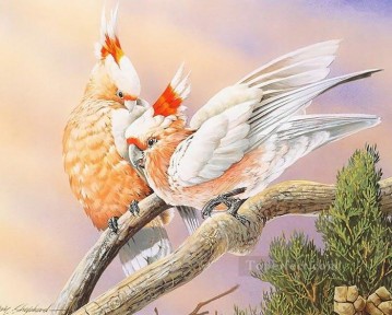  Reja Obras - pareja de loros 2 pájaros